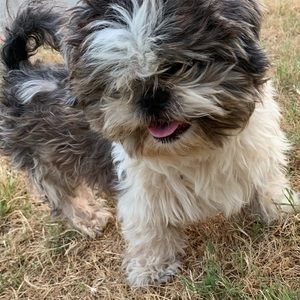 Meet your Posher, Roberto